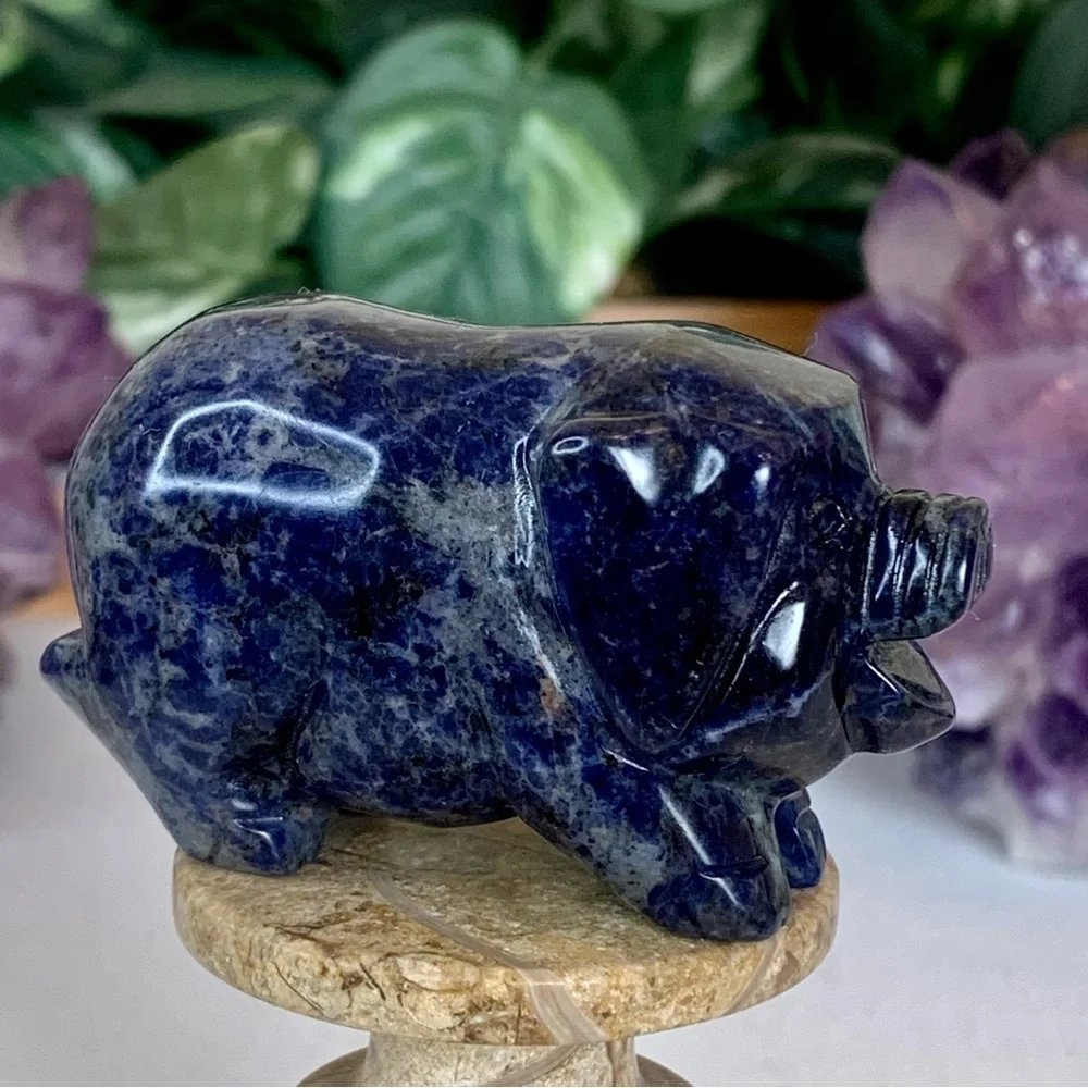 Sodalite Crystal Carved Pig Figurine Blue Stone Animal Carving Chinese Zodiac